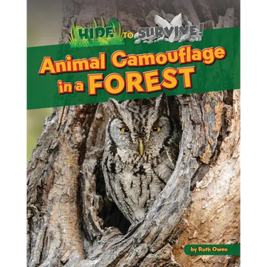Animal Camouflage in a Forest