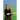 Women Pastors and God's Ordained Order