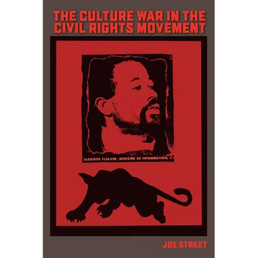 The Culture War in the Civil Rights Movement