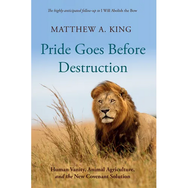 Pride Goes Before Destruction