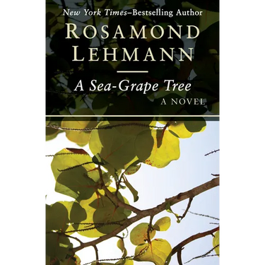 A Sea-Grape Tree