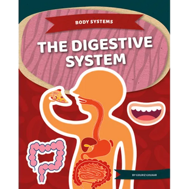 Digestive System