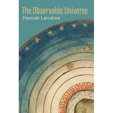 The Observable Universe