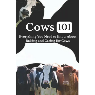 Cow Care 101: Everything You Need to Know About Raising and Caring for Cows