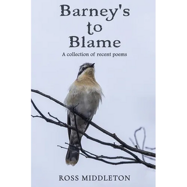 Barney's to blame
