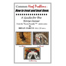 Common Hoof Problems, how to treat & beat them: A guide for the horse owner.