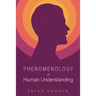 Phenomenology of Human Understanding