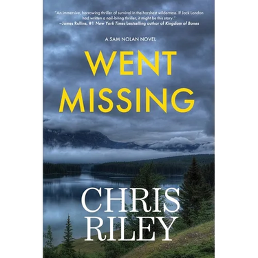 Went Missing: A Sam Nolan Novel