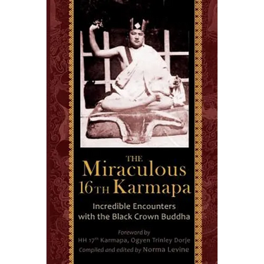 The Miraculous 16th Karmapa