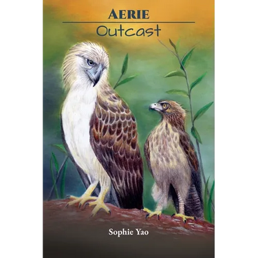 Aerie: Outcast