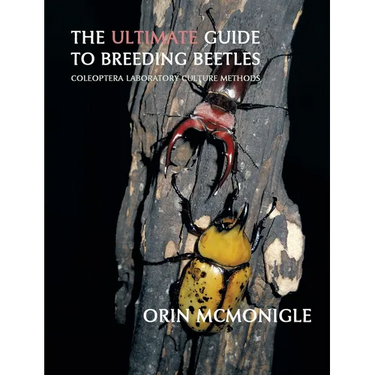 The Ultimate Guide to Breeding Beetles: Coleoptera Laboratory Culture Methods