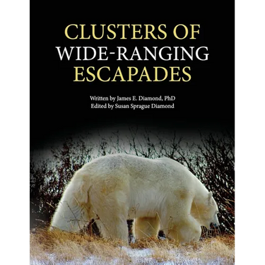 Clusters of Wide-Ranging Escapades