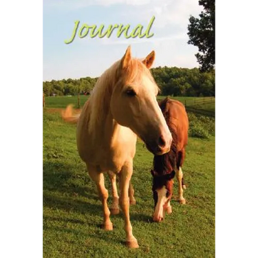 Horse Sense Journal