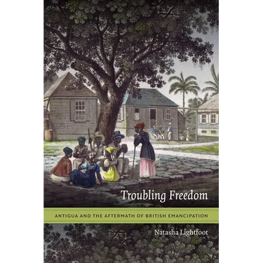 Troubling Freedom: Antigua and the Aftermath of British Emancipation