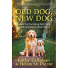 Old Dog, New Dog: Supporting Your Aging Best Friend and Welcoming a New One