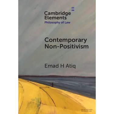 Contemporary Non-Positivism
