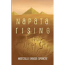 Napata Rising: A Novella