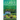 The Color of a Dream