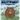 Wally Wombat: Anxiety Body Clues