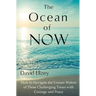 The Ocean of Now: How to Navigate the Unsure Waters of These Challenging Times with Courage and Peace