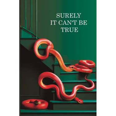 Surely it can't be True: A True Story of Struggle, Success, and Survival in Business and Life