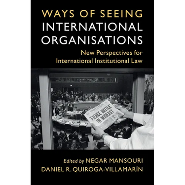 Ways of Seeing International Organisations