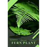 Fern Plant: Plant Guide