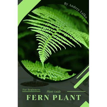 Fern Plant: Plant Guide