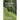 The Kudzu & C-4 Fugue