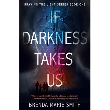 If Darkness Takes Us: Braving The Light Series Book 1