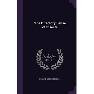 The Olfactory Sense of Insects