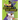 Ronald Acuña Jr. vs. Rickey Henderson: Who Would Win?