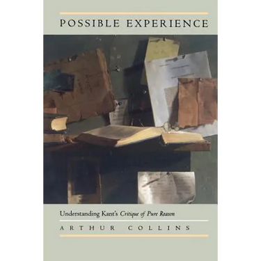Possible Experience: Understanding Kant's Critique of Pure Reason