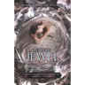 The Jewel