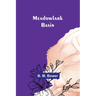 Meadowlark Basin