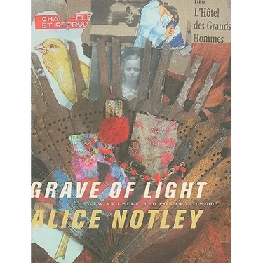 Grave of Light: New and Selected Poems 1970-2005