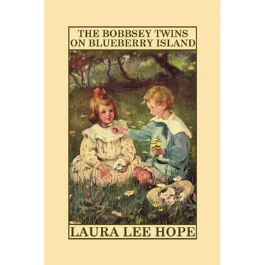 The Bobbsey Twins on Blueberry Island