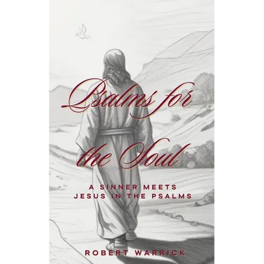 Psalms for the Soul: A Sinner meets Jesus in the Psalms