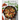 The Well Plated Cookbook: Fast, Healthy Recipes You'll Want to Eat