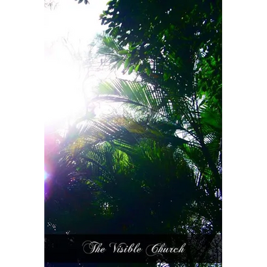 The Visible Church: Her Government, Ceremonies, Sacramentals, Festivals, And Devotions