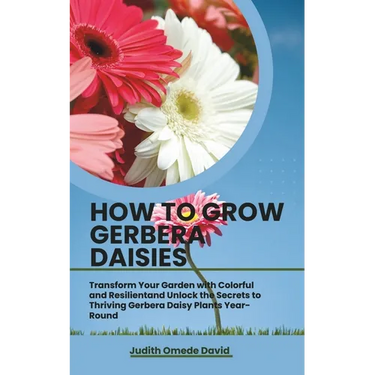 How to Grow Gerbera Daisies: Transform Your Garden with Colorful and Resilient and Unlock the Secrets to Thriving Gerbera Daisy Plants Year-Round