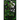 His Perfect Poison Green Discreet
