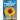 The Sunflower Widows