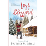 Love in a Blizzard: Christmas at the Lodge