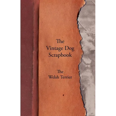 The Vintage Dog Scrapbook - The Welsh Terrier