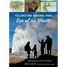 Yellowstone National Park: Eye of the Grizzly