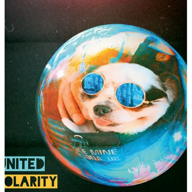 United Polarity: Album lyric book