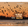 Wings Over Water: The Vital Magic of North America's Prairie Wetlands