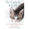 To Catch a Cat: How Three Stray Kittens Rescued Me