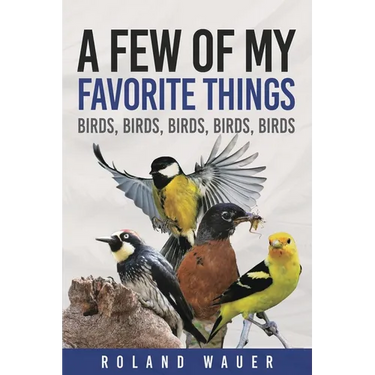 Favorite Things: Birds, Birds, Birds, Birds